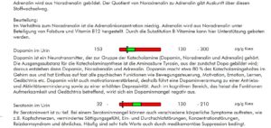 Neurotransmitter 2 Dr. Kerstin Schmit Ganzheitsmedizin