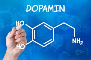 Dopamin Dr. Schmit 